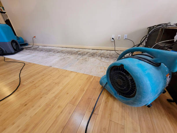 Professional Water Damage Repair technician working in Falmouth, ME